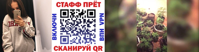 Названия наркотиков Зерноград КОКАИН ГАШИШ АМФЕТАМИН Каннабис