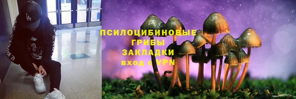 гашишное масло Ельня