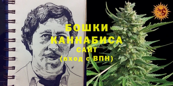 крисы Заводоуковск