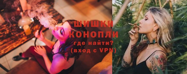 сатива Заволжье