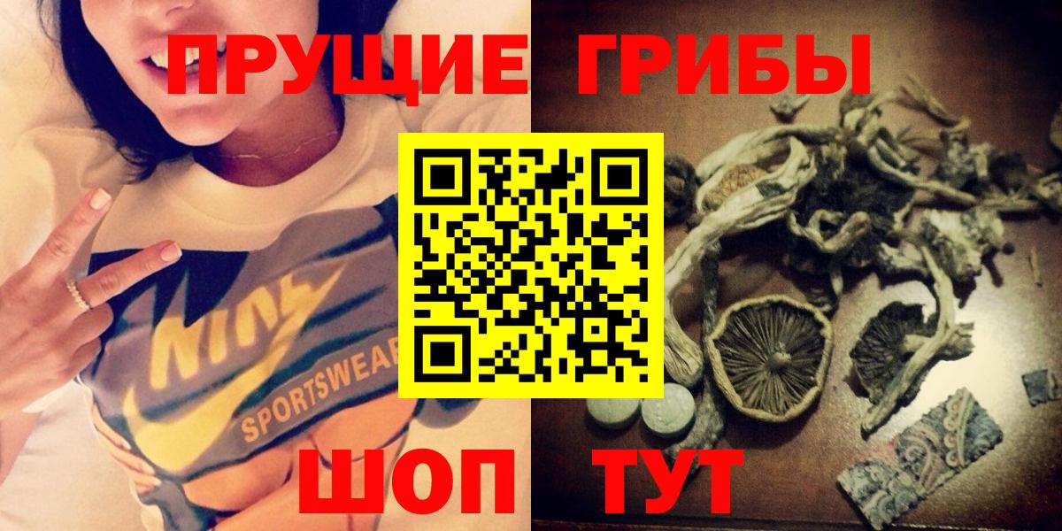 закладка  Галлюциногенные грибы мицелий  Вход с VPN  Зерноград 
