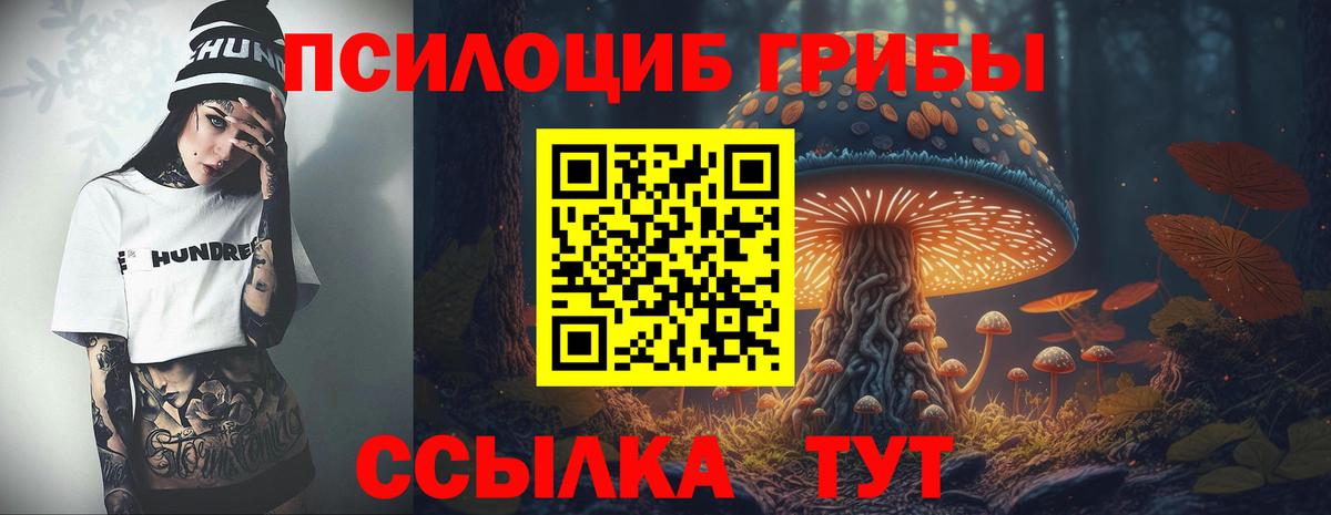 Псилоцибиновые грибы ЛСД Зерноград
